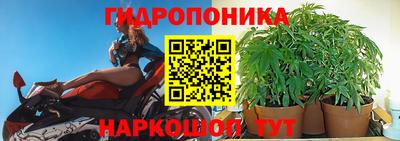 ECSTASY Будённовск