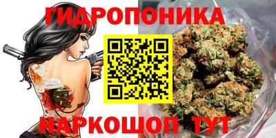 ECSTASY Будённовск